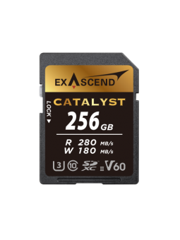 Karta pamięci ExAscend...