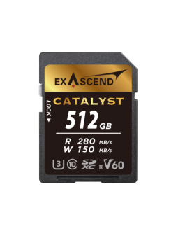 Karta pamięci ExAscend...