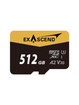 Karta pamięci ExAscend...